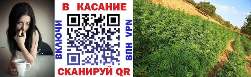 Купить наркотик Стародуб Бошки Шишки  Кокаин  Гашиш  Меф мяу мяу 