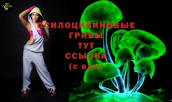 меф Арсеньев