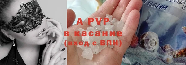 стафф Аркадак