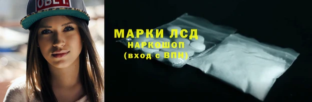 стафф Аркадак