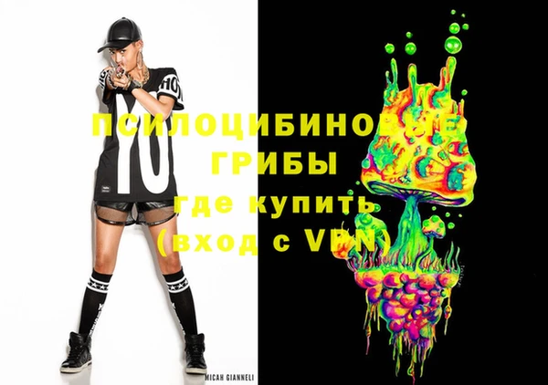 стафф Аркадак