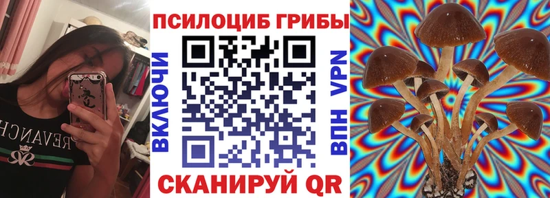 ссылка на мегу как войти купить Стародуб Псилоцибиновые грибы MAGIC MUSHROOMS