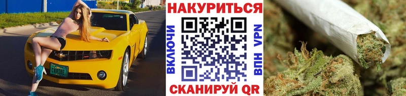 Бошки марихуана Amnesia  Стародуб 